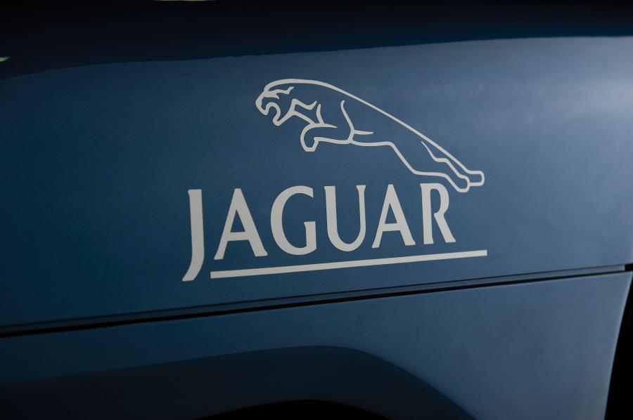  Jaguar XJR15 1993 года  (фото 15 из 23)